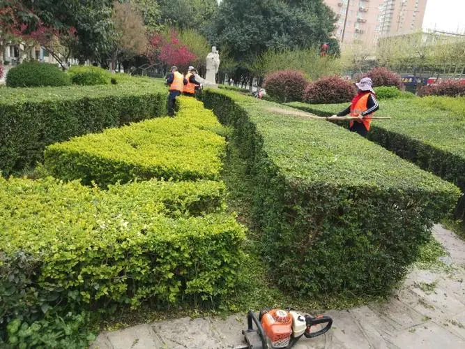 孟州城市绿化护栏规范