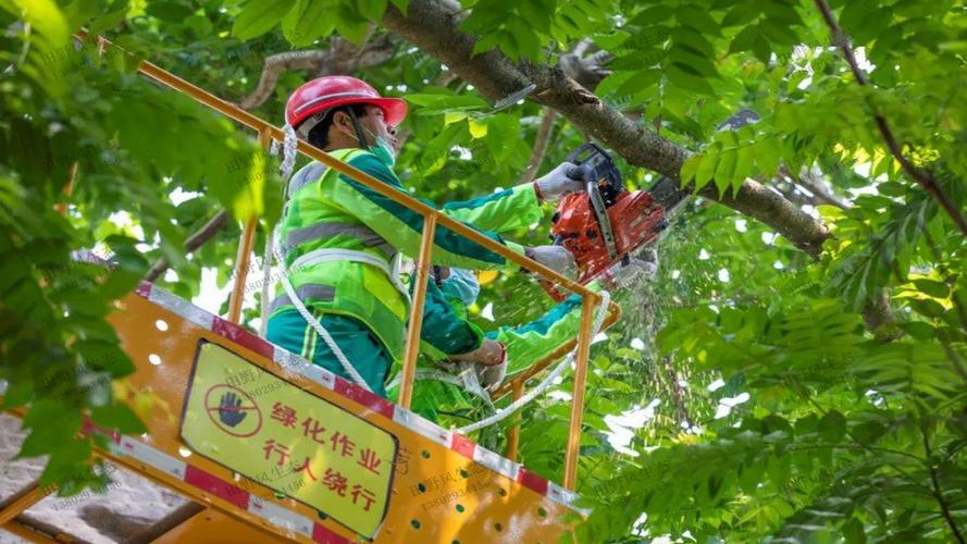 宝山绿化苗木市场规模