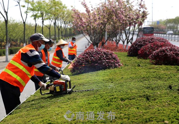 黄陂区优势城市绿化工程值得推荐