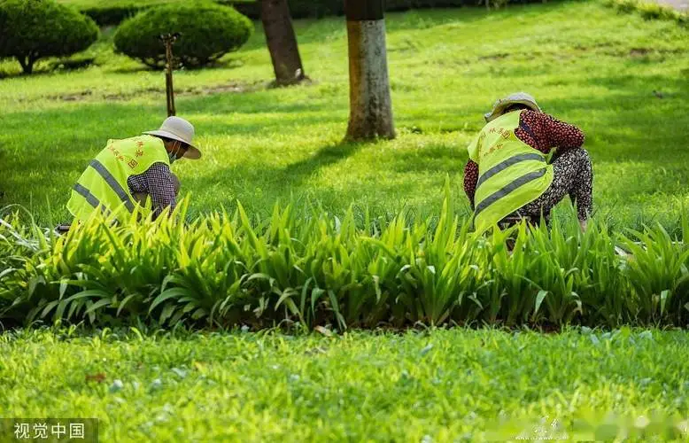 家庭阳台园林景观设计
